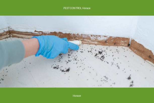 PEST CONTROL Horace